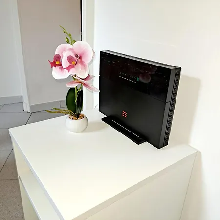 Apartment Flower House Turin